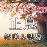 ヨガの極意”止息”｜解説・誘導・カウンティング