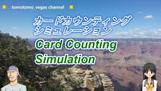 カードカウンティングシミュレーション